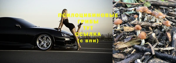 СК Дмитров