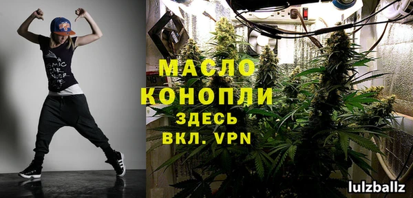 СК Дмитров