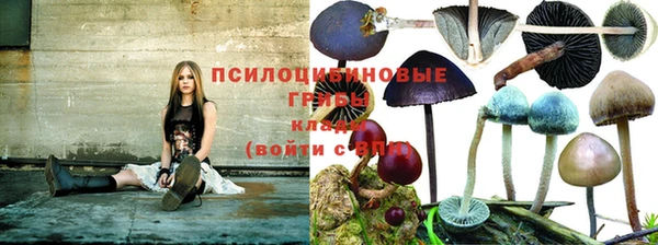 кокаин Дмитровск