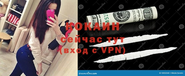 СК Дмитров