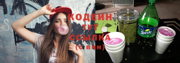 СК Дмитров