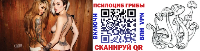купить  сайты  Ефремов  hydra рабочий сайт  Галлюциногенные грибы MAGIC MUSHROOMS 