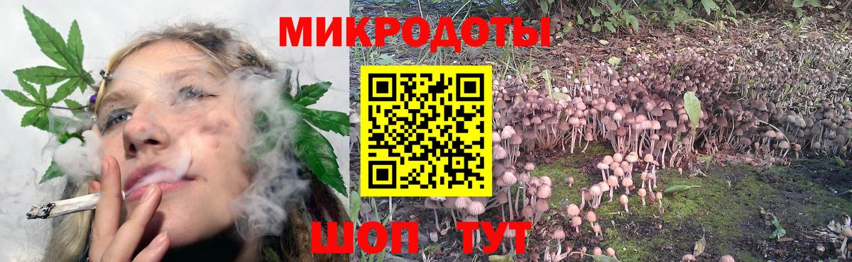 Псилоцибиновые грибы мухоморы Ефремов