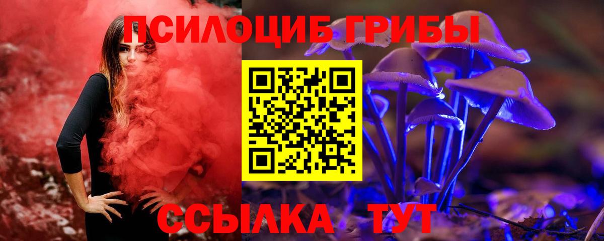Псилоцибиновые грибы Psilocybe  Вход с VPN  Ефремов 